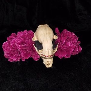 Flower crown with real racoon skull.